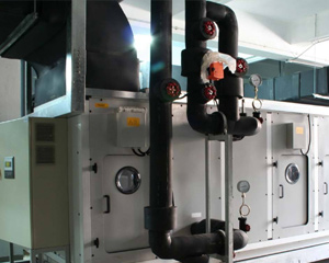 In the face of artificial intelligence, ten thousand words I love you is better than one I understan